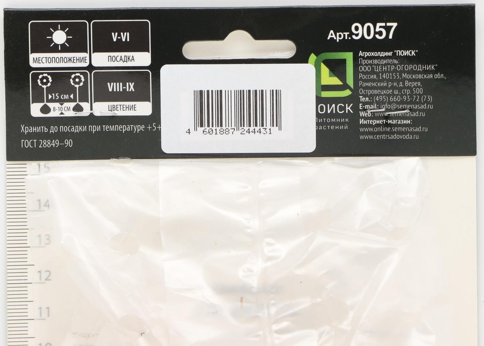 Гладиолус крупноцветковой 