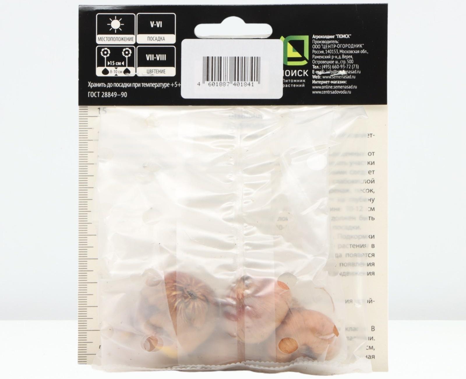 Гладиолус крупноцветковой 