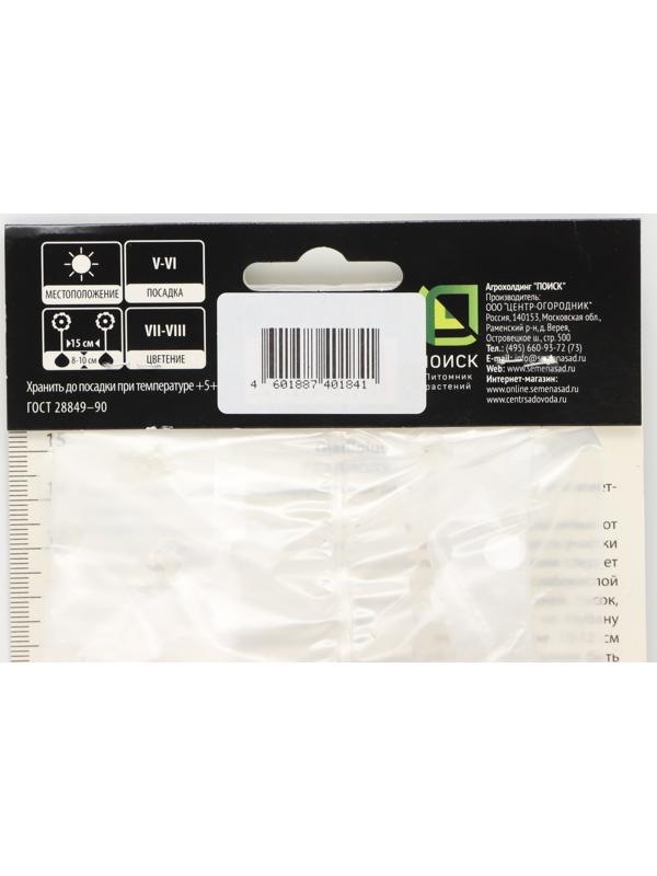 Гладиолус крупноцветковой 