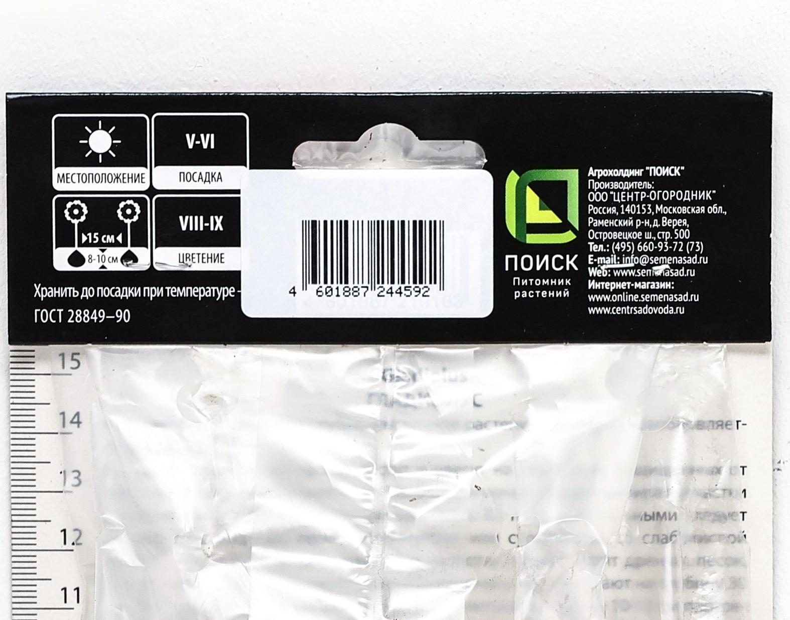 Гладиолус крупноцветковой 