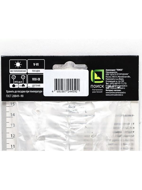 Гладиолус крупноцветковой 