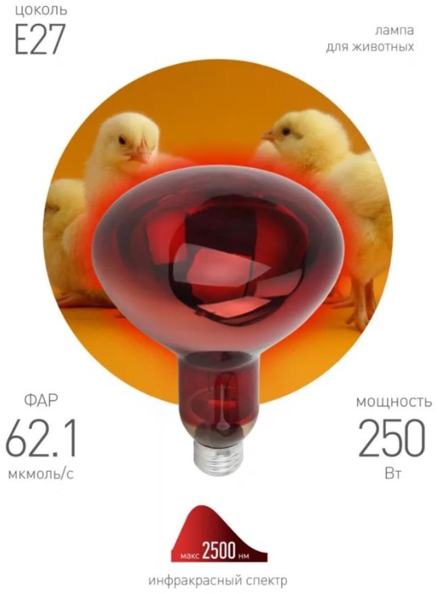 Инфракрасная лампа ЭРА ИКЗК 220-250 R127 для обогрева животных 250 Вт Е27