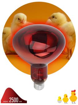 Инфракрасная лампа ЭРА ИКЗК 220-250 R127 для обогрева животных 250 Вт Е27