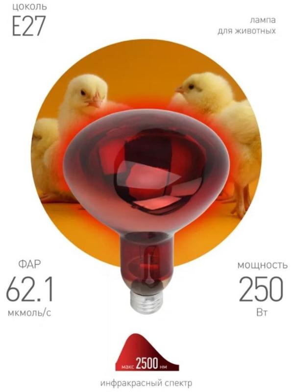 Инфракрасная лампа ЭРА ИКЗК 220-250 R127 для обогрева животных 250 Вт Е27