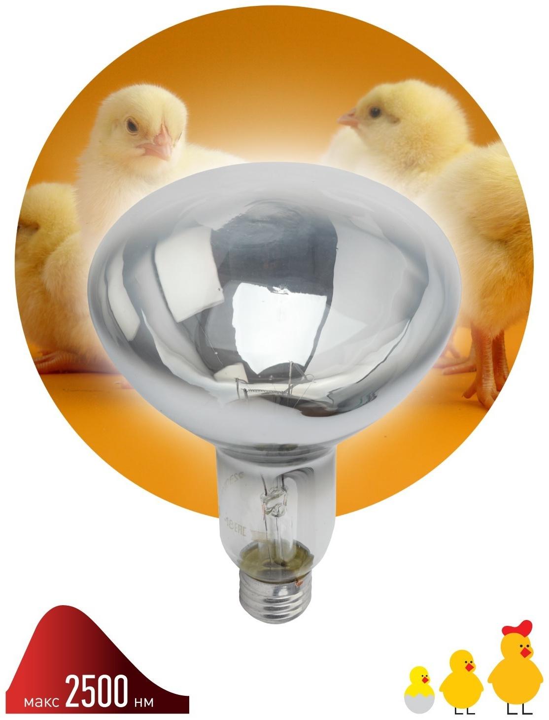 Инфракрасная лампа ЭРА ИКЗ 220-250 R127 для обогрева животных 220-250 Вт Е27