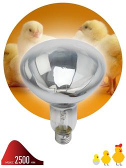 Инфракрасная лампа ЭРА ИКЗ 220-250 R127 для обогрева животных 220-250 Вт Е27