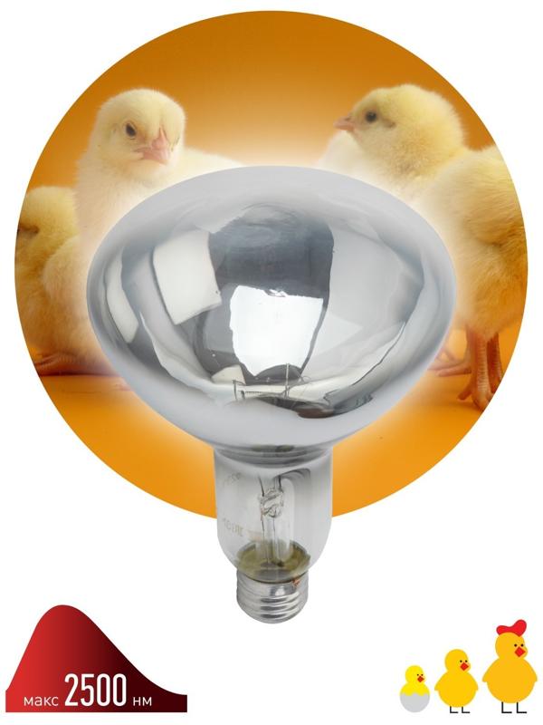 Инфракрасная лампа ЭРА ИКЗ 220-250 R127 для обогрева животных 220-250 Вт Е27