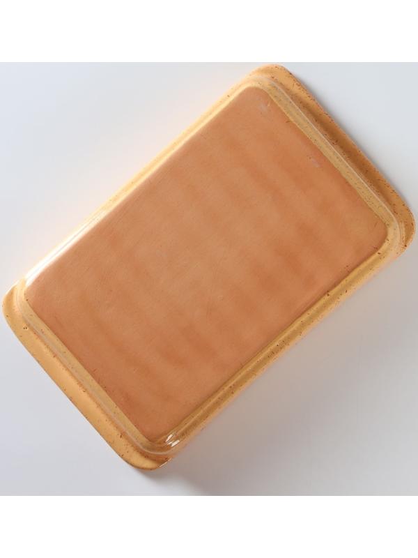 Форма для запекания керамическая «Каракум», 24×15,5 см, 800 мл