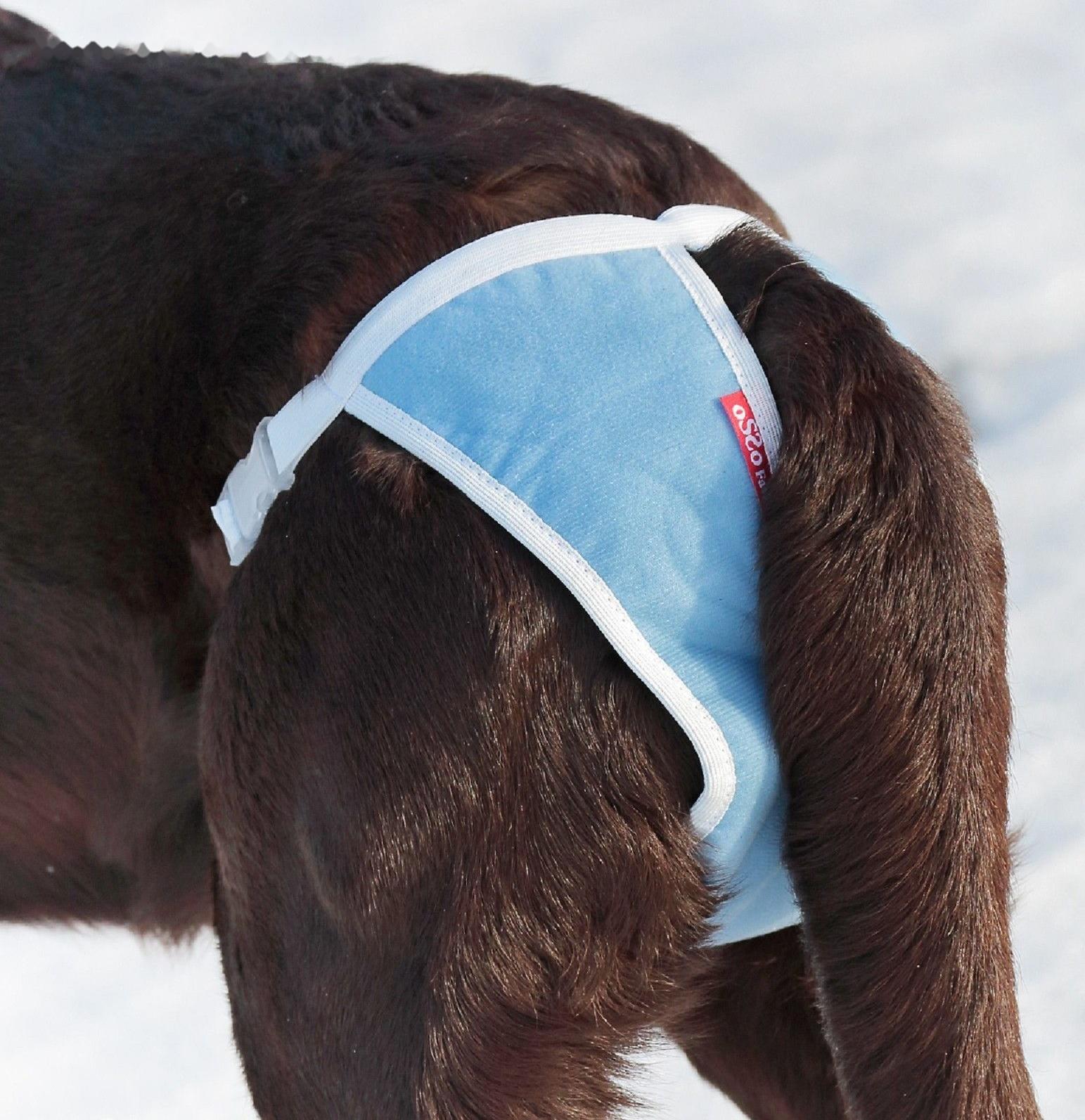 Трусы для собак многоразовые OSSO ABSORB, размер XXS