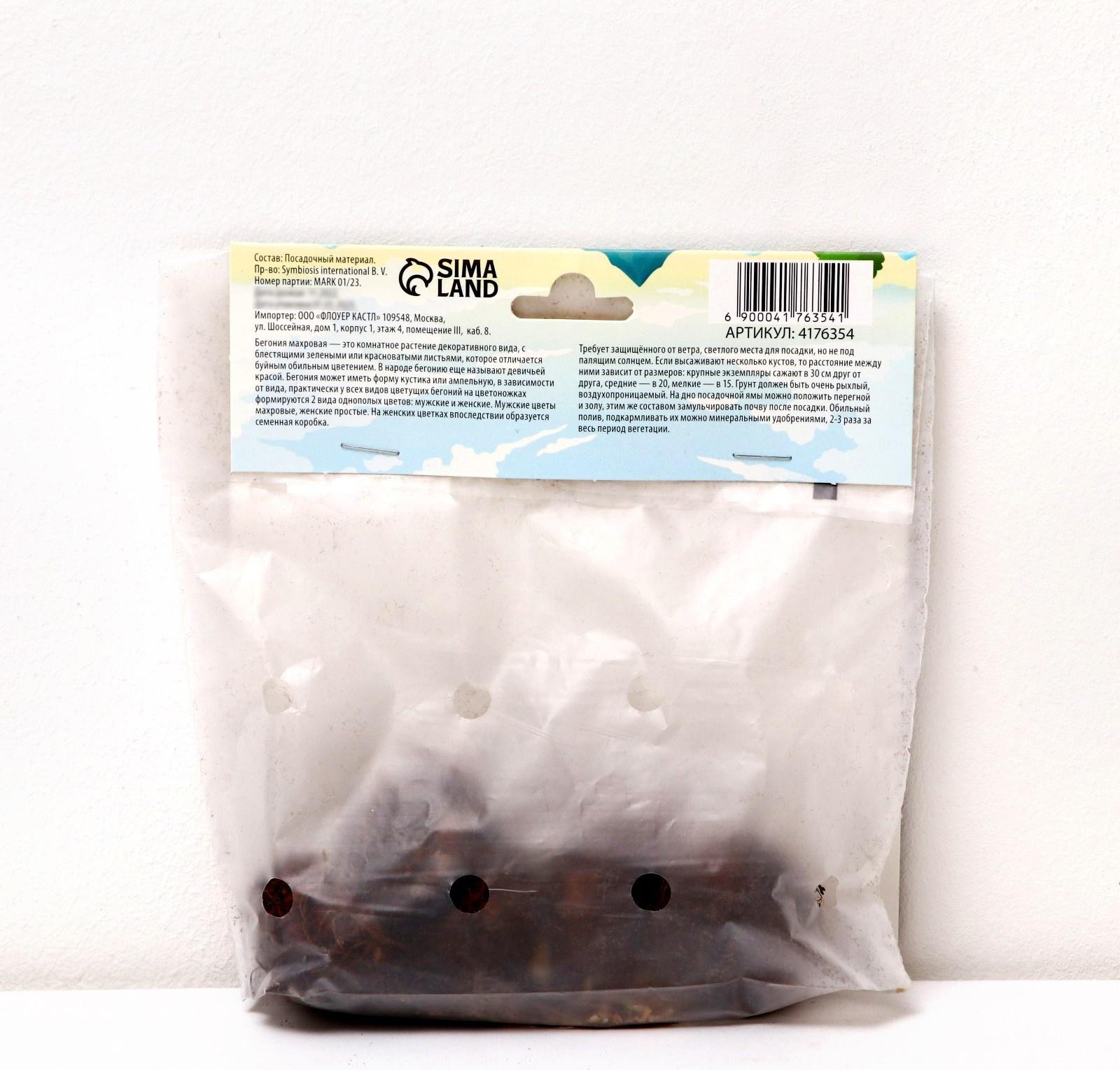 Бегония махровая 