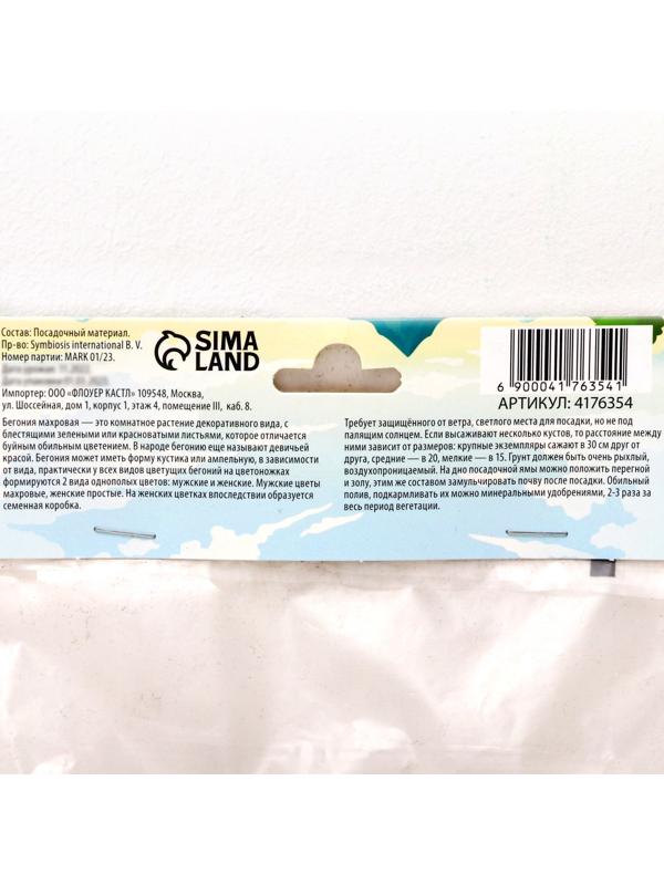 Бегония махровая 