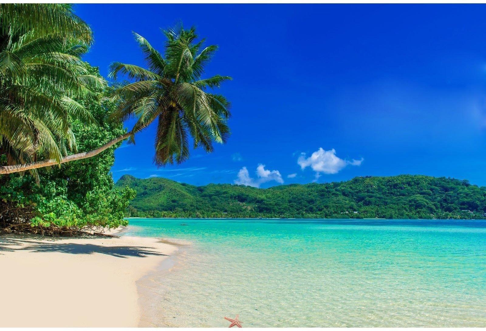 Фотобаннер, 300 × 200 см, с фотопечатью, люверсы шаг 1 м, «Пляж»