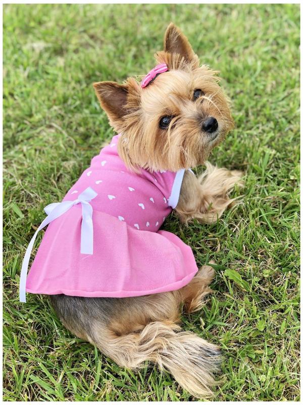 Платье Osso для собак «Маленькая кокетка», размер 28 (ДС 27-29 см), розовое