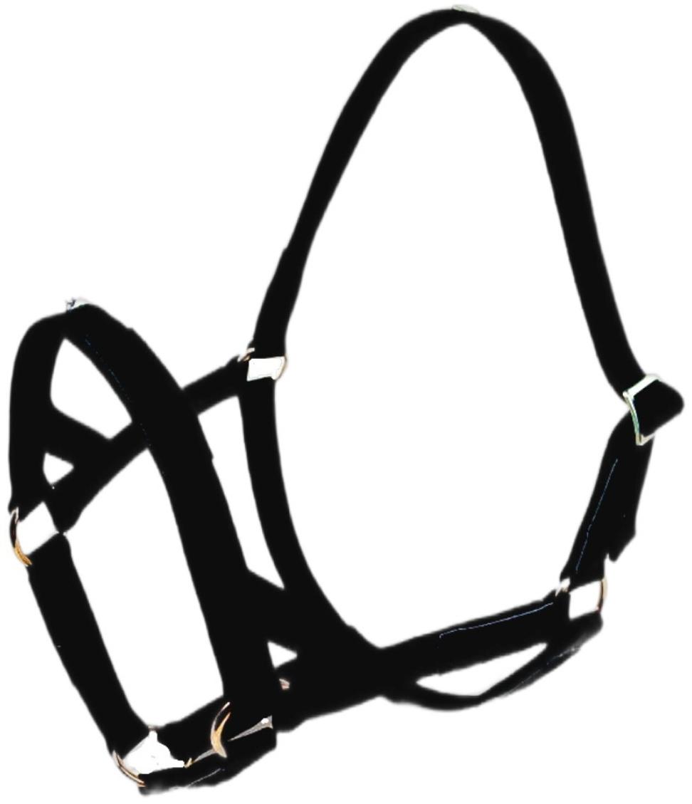 Недоуздок, двойной брезент, 25 мм, черный, Л009