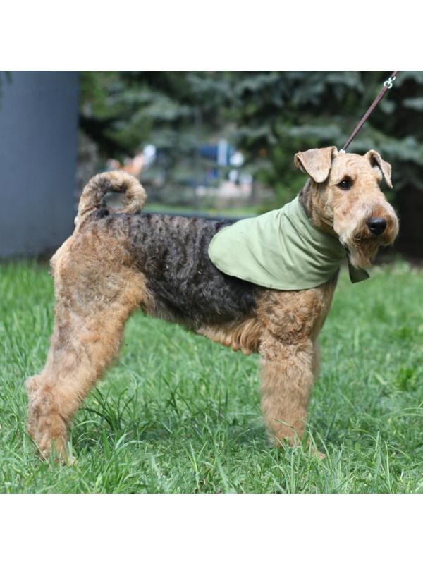 Косынка охлаждающая OSSO, L (70 х 28 см)