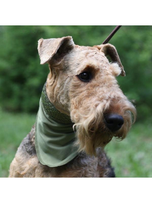 Косынка охлаждающая OSSO, L (70 х 28 см)