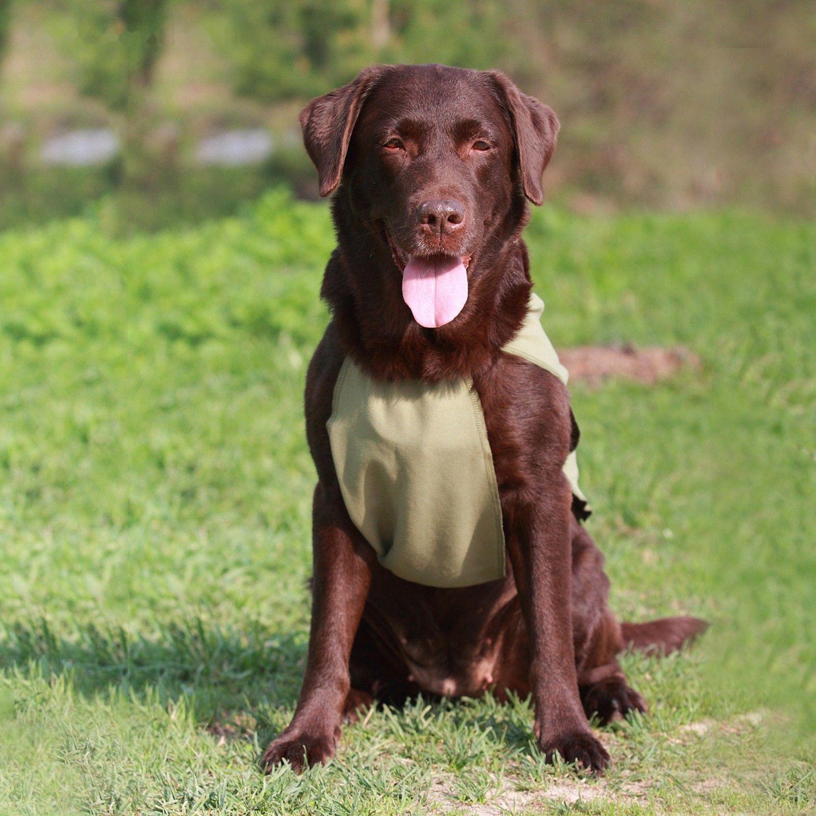 Охлаждающая попона для собак OSSO, 50 (ДС 50 см, ОШ до 58 см)