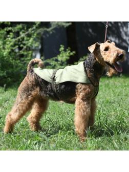 Охлаждающая попона для собак OSSO, 50 (ДС 50 см, ОШ до 58 см)