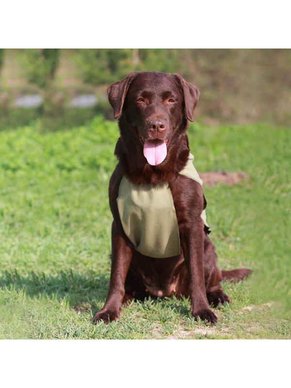 Охлаждающая попона для собак OSSO, 50 (ДС 50 см, ОШ до 58 см)