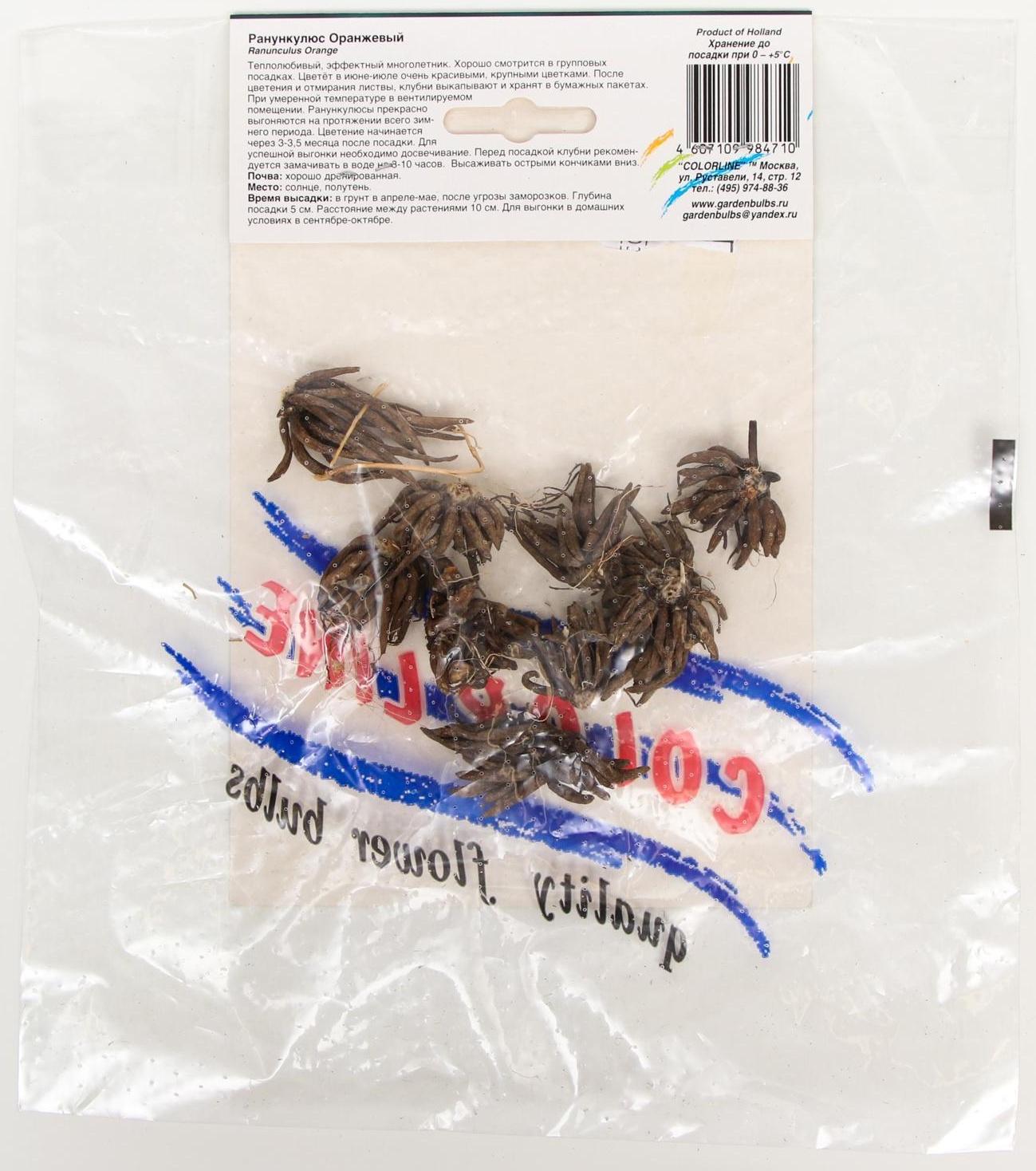 Ранункулюс Оранжевый р-р 7/8, 10 шт