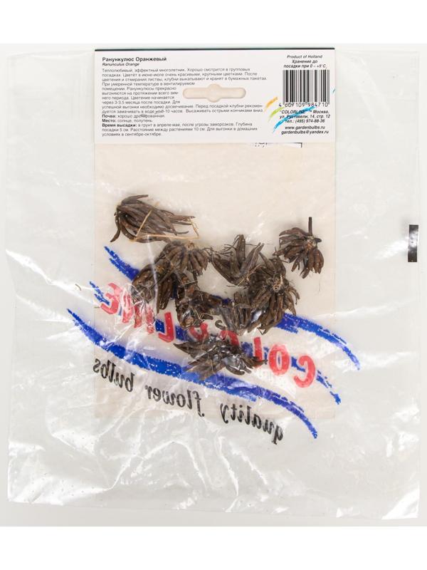 Ранункулюс Оранжевый р-р 7/8, 10 шт