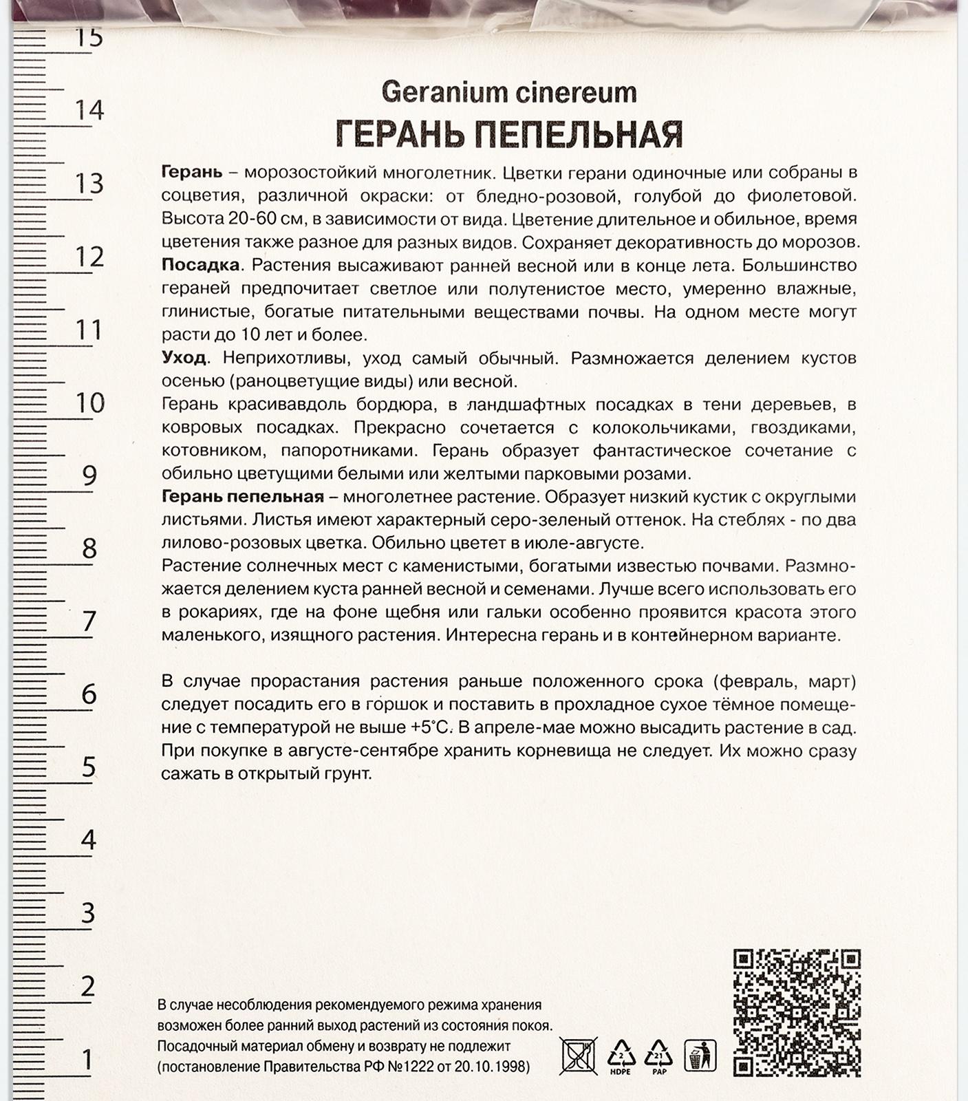 Герань пепельная Джузеппе, р-р I, 1 шт, Весна 2024