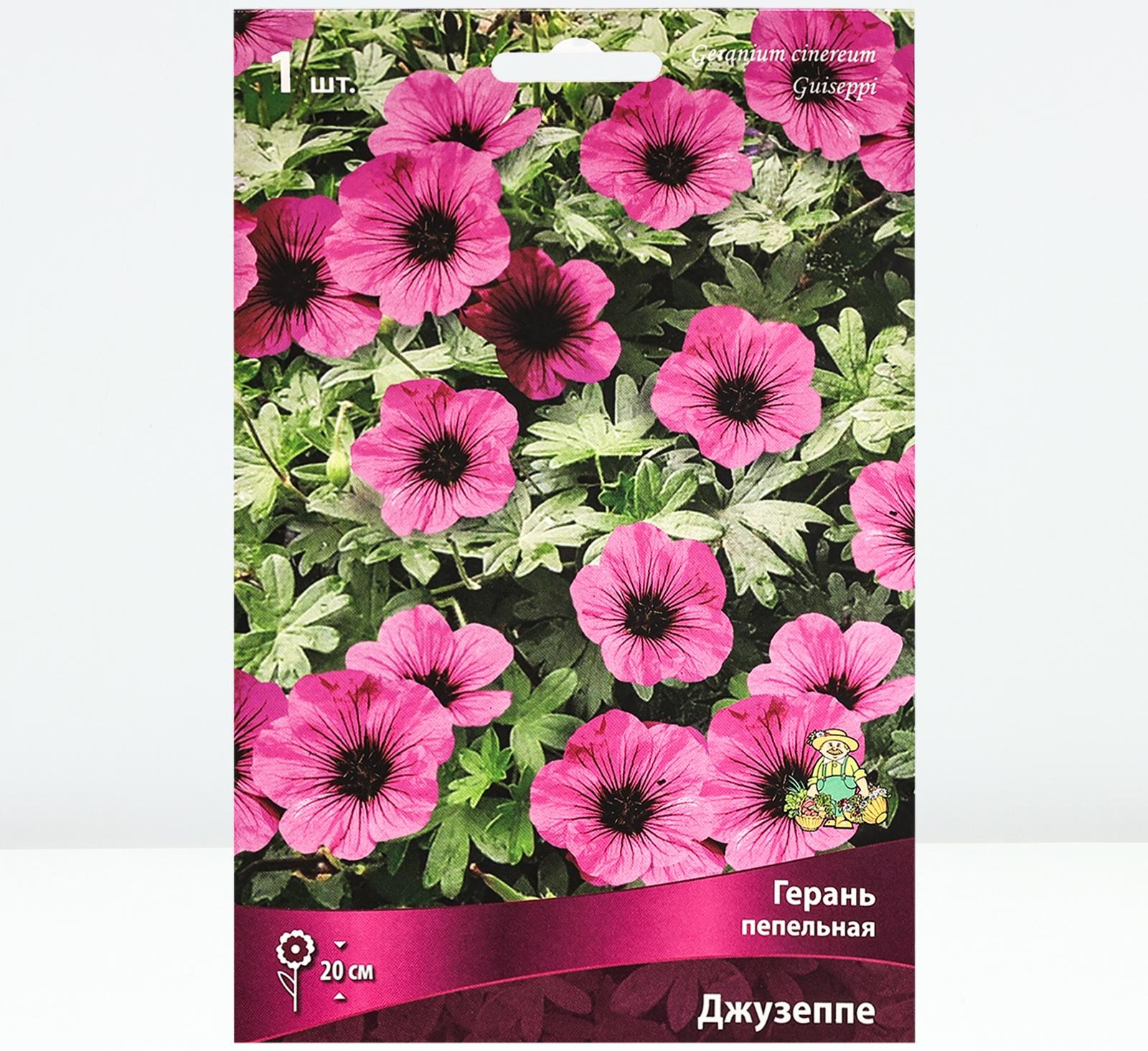 Герань пепельная Джузеппе, р-р I, 1 шт, Весна 2024