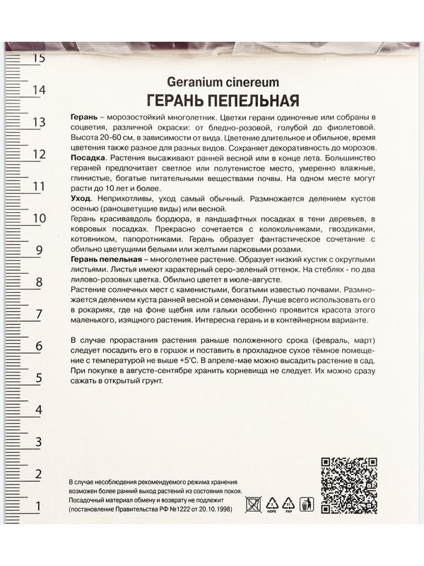 Герань пепельная Джузеппе, р-р I, 1 шт, Весна 2024