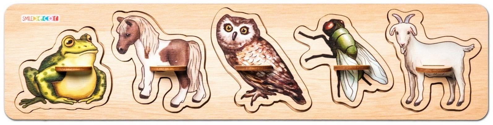 Рамки-вкладыши 