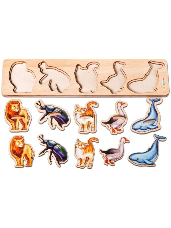 Рамки-вкладыши 