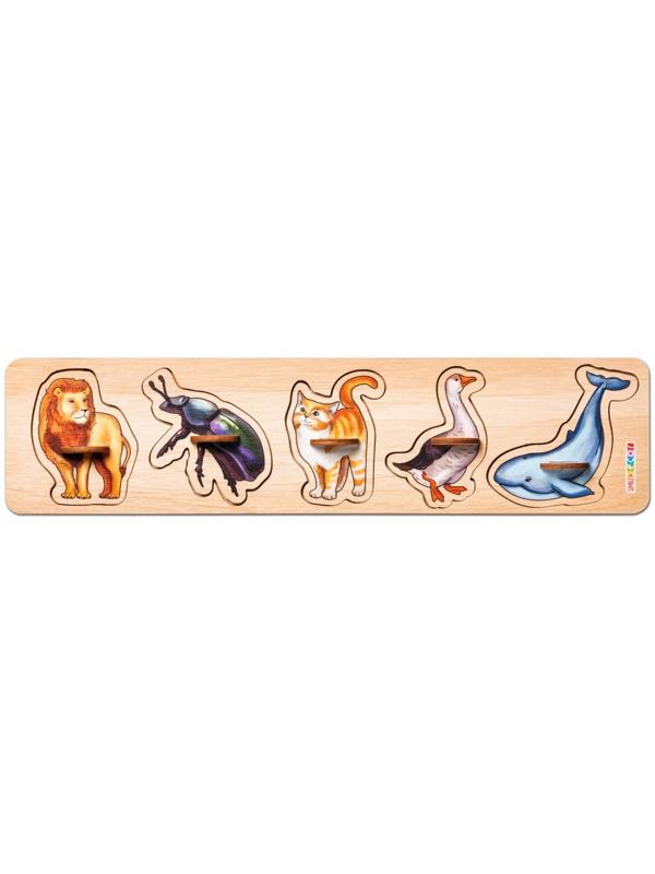 Рамки-вкладыши 