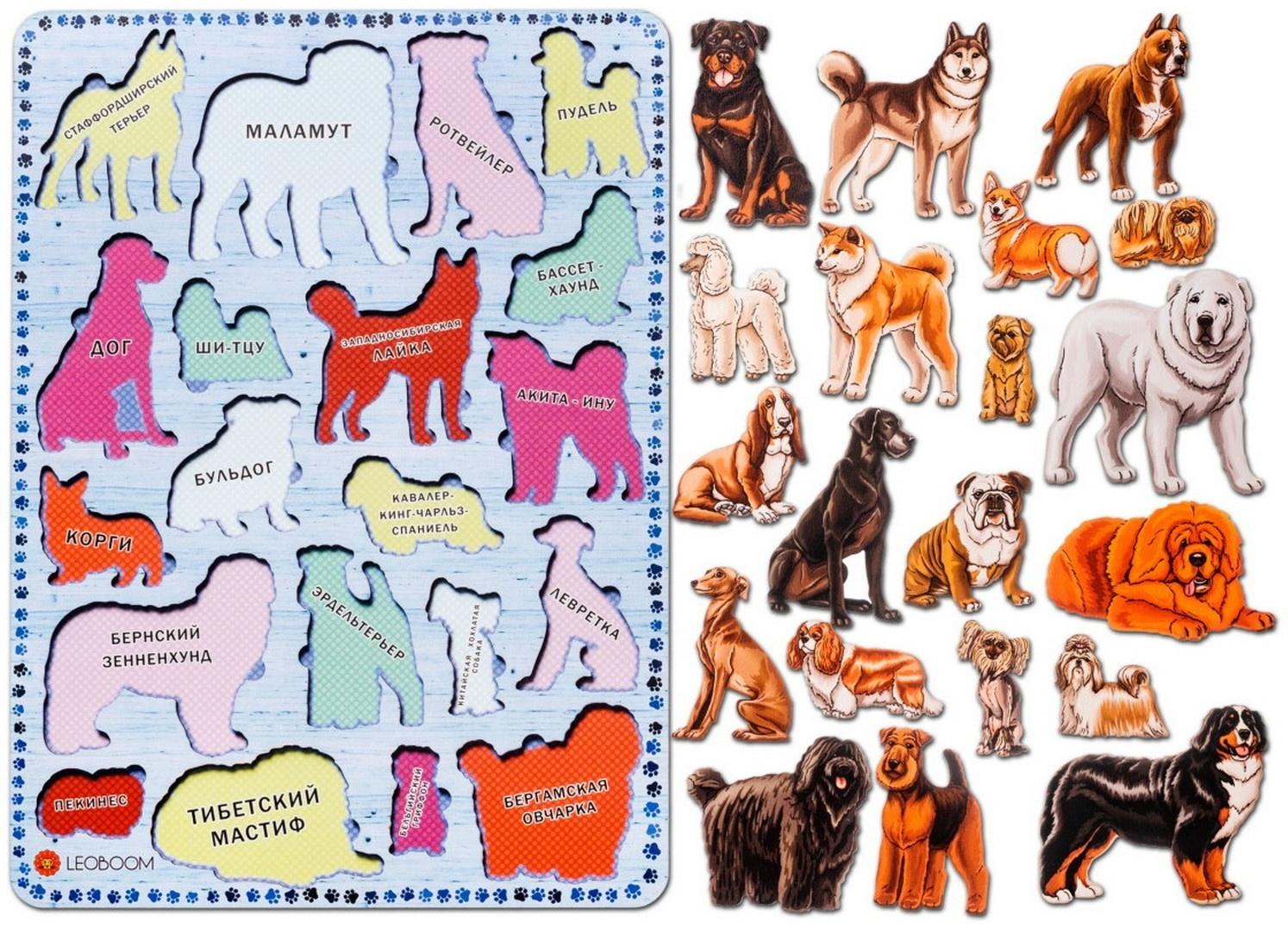 Рамки-вкладыши 