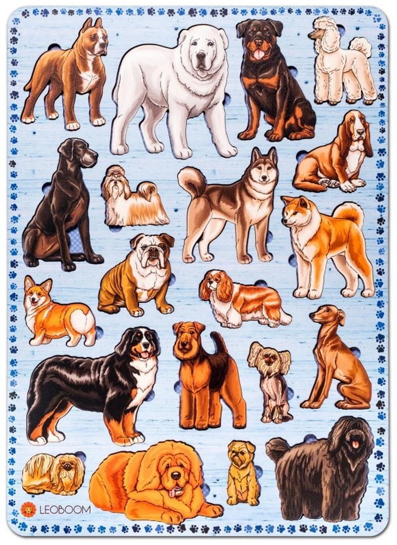 Рамки-вкладыши 