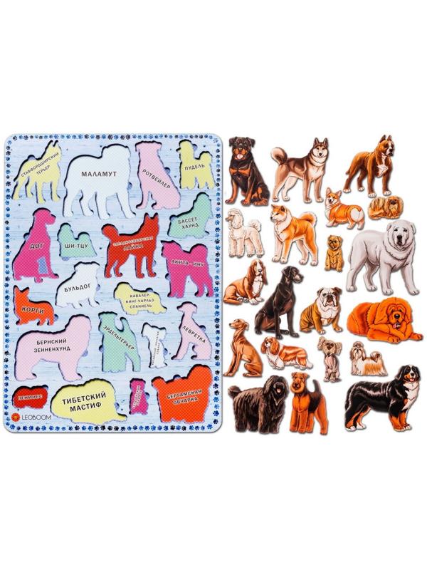 Рамки-вкладыши 