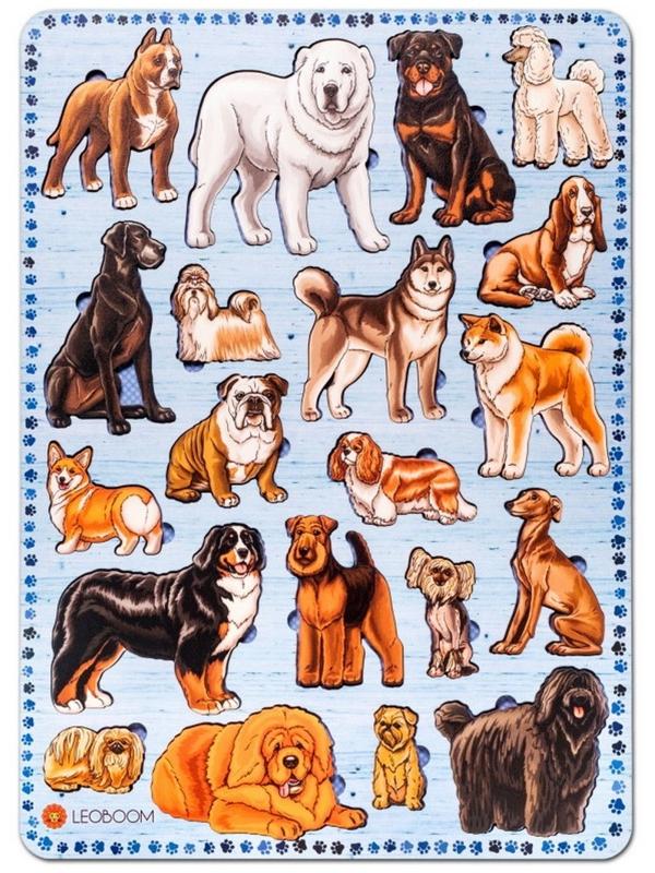 Рамки-вкладыши 