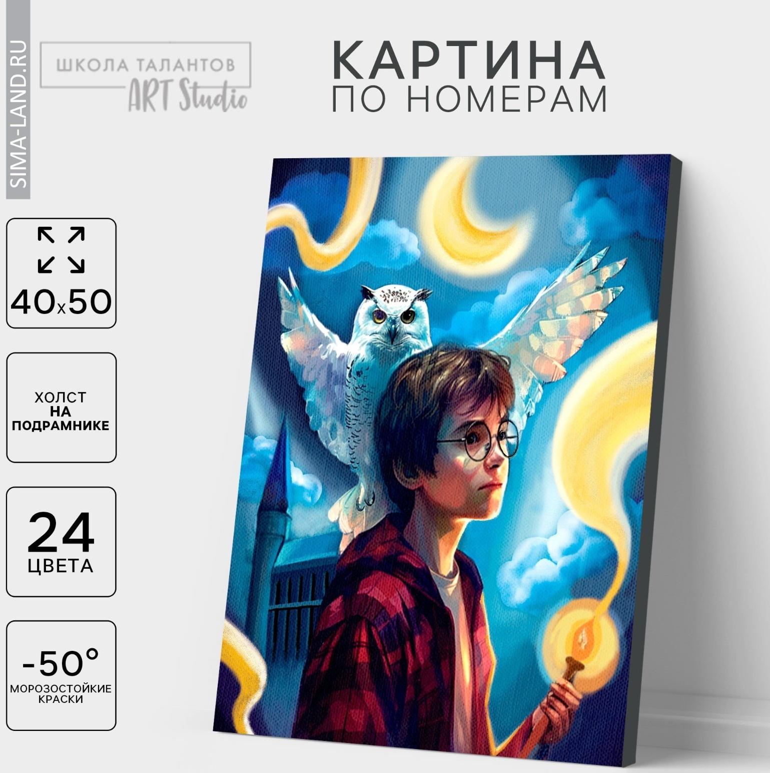 Картина по номерам на холсте с подрамником «Волшебство рядом», 40 х 50 см