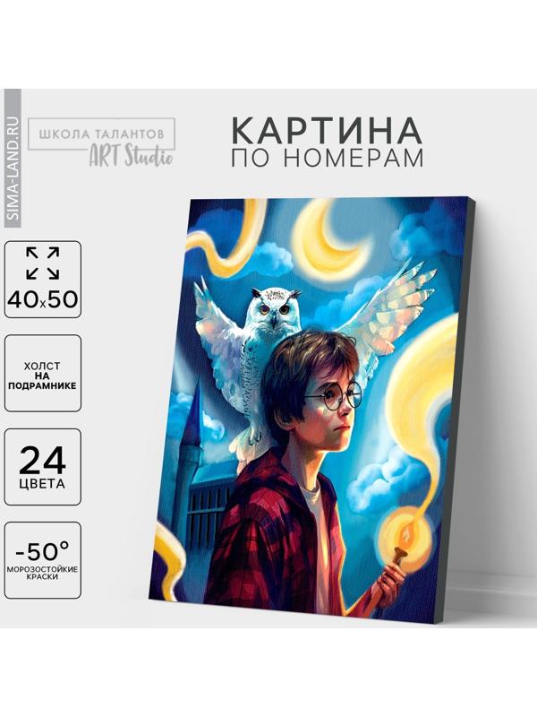 Картина по номерам на холсте с подрамником «Волшебство рядом», 40 х 50 см