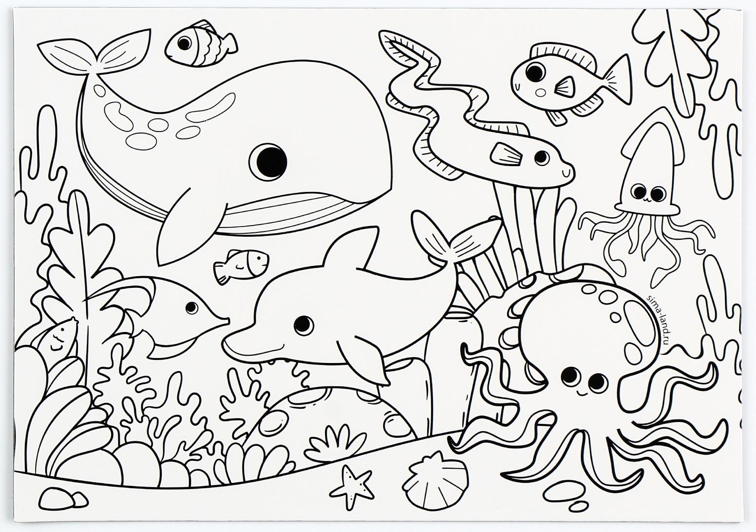 Магнит-раскраска многоразовая «Морские жители», 14,8 х 21 см