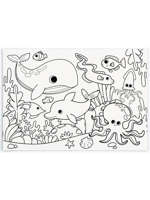 Магнит-раскраска многоразовая «Морские жители», 14,8 х 21 см