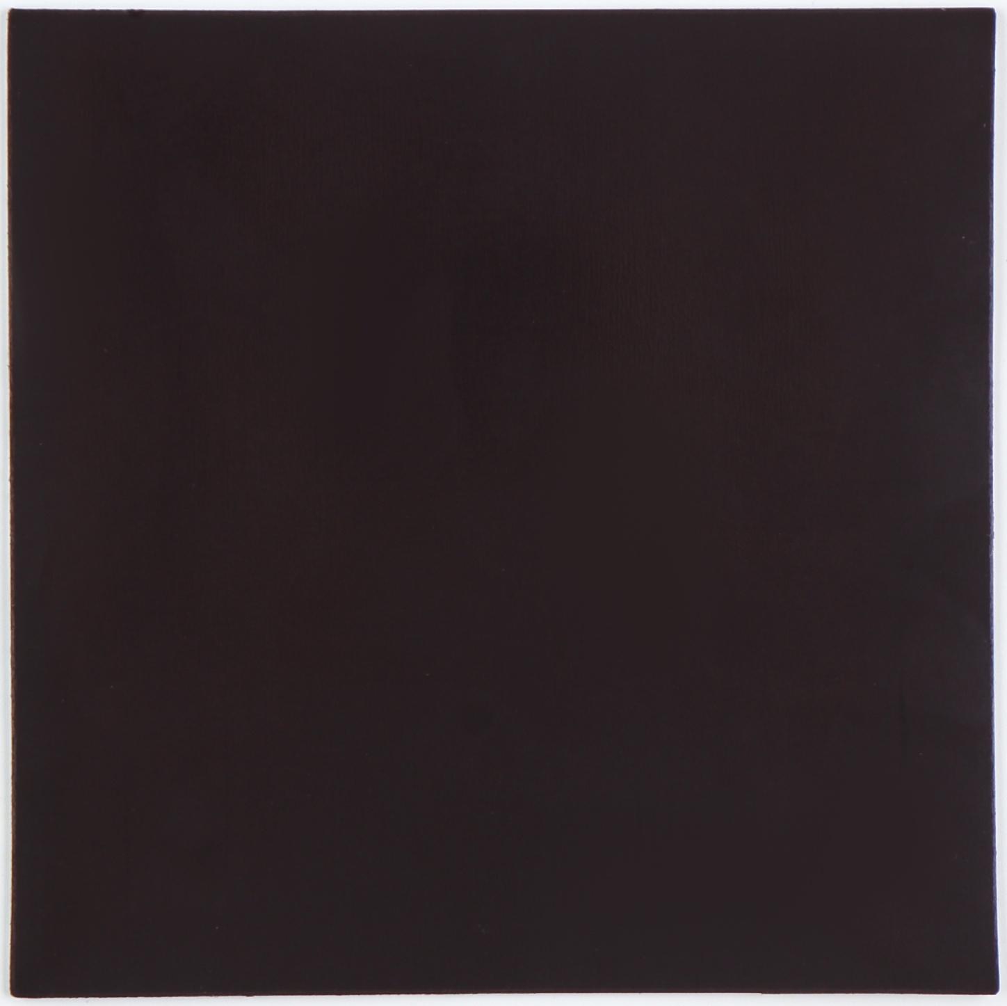 Магнит - раскраска «Дино», 10 х 10 см