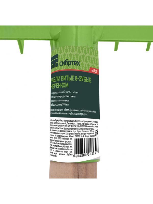 Грабли витые 8 - зубые, 160 х 390 мм, стальные, деревянная рукоятка, Агроном, Россия, Сибртех