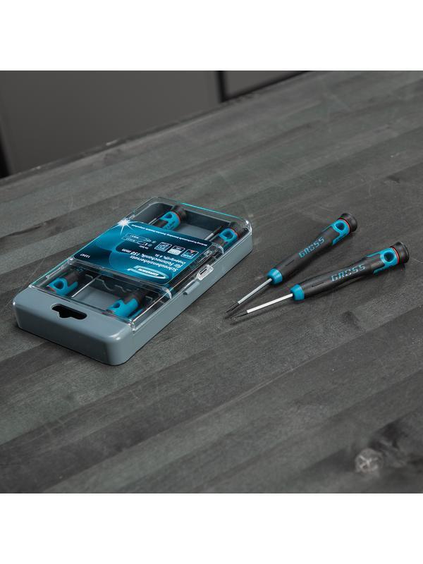 Набор отверток для точной механики, CrMo, двухкомпонентные рукоятки, 6 шт, пластиковый бокс Gross