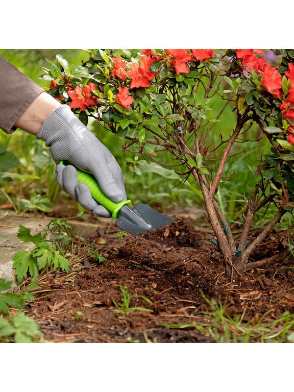 Совок посадочный узкий, 60 х 250 мм, стальной, пластиковая рукоятка, Standard, Palisad