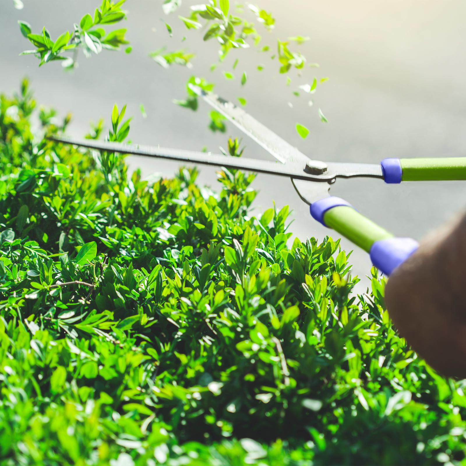 Кусторез, 500 мм, стальные обрезиненные рукоятки, Palisad