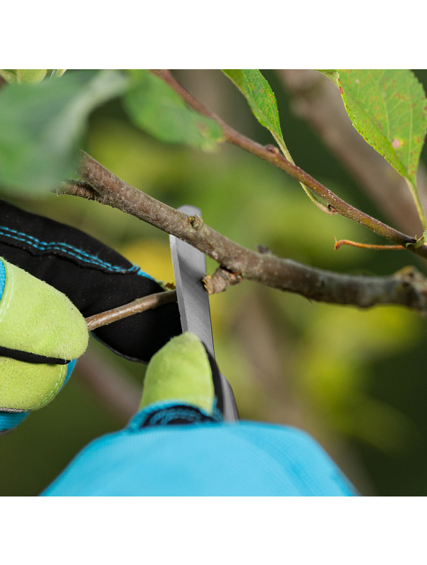 Нож садовый складной, прямое лезвие, 173 мм, деревянная рукоятка, Palisad