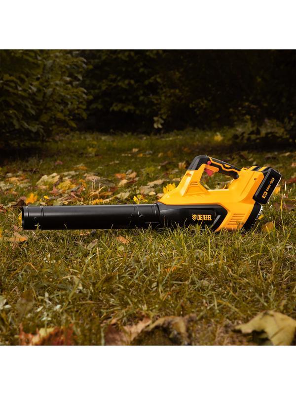 Воздуходувка аккумуляторная RB180-36, Li-ion, 36 В, 4 Ач, 180 км/ч, 820 м3/ч Denzel