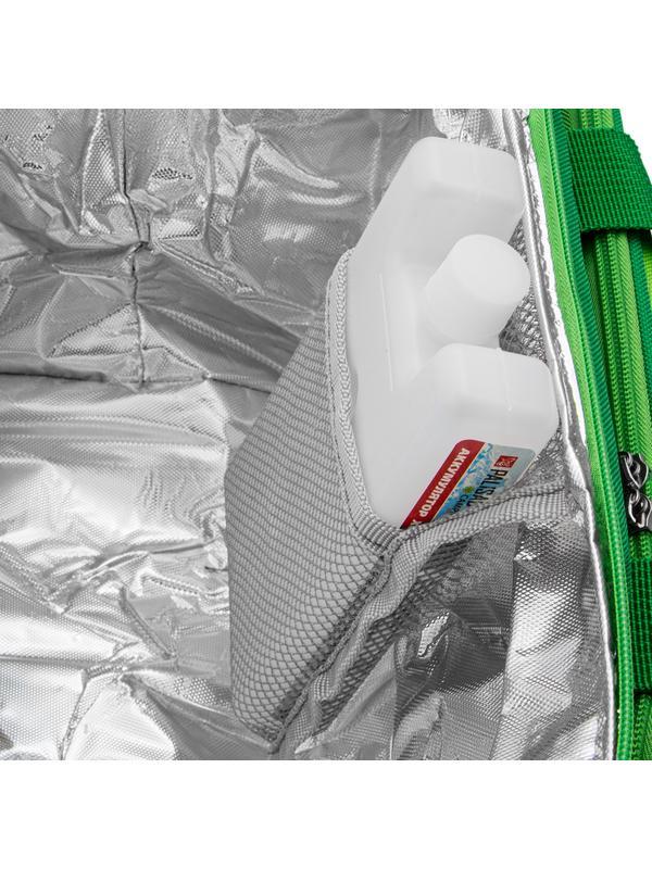 Сумка холодильник 320 x 250 x 240 мм, с двумя охлаждающими блоками Camping Palisad