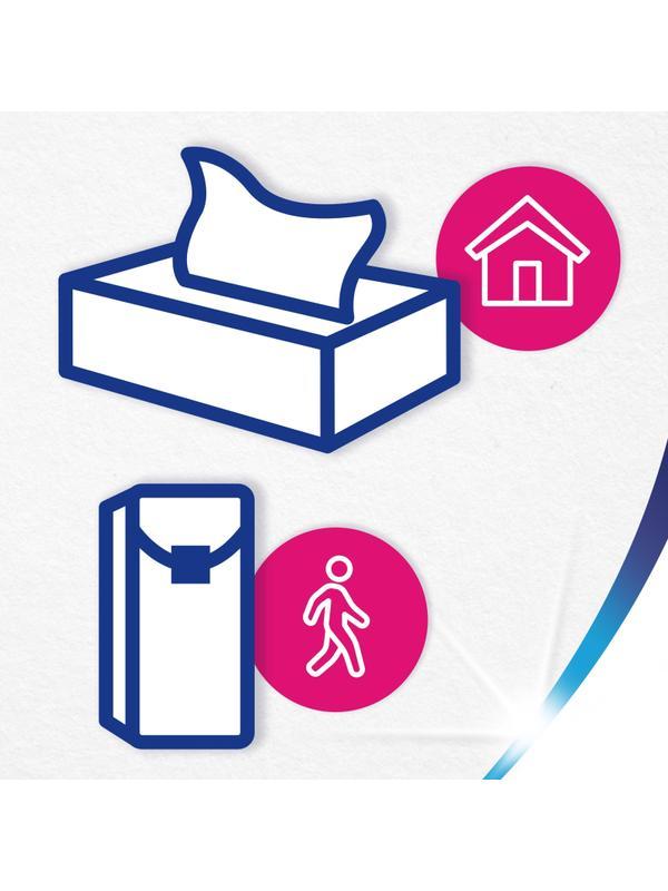 Салфетки косметические ZEWA Everyday 2-сл 250шт/уп 8679