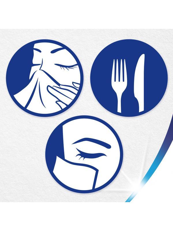 Салфетки косметические ZEWA Everyday 2-сл 250шт/уп 8679