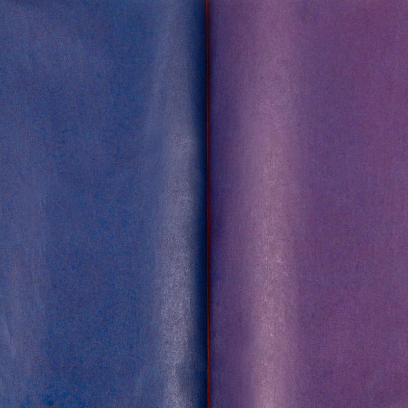 Бумага цветная Всезнайка 8л.8цв.одностор.газетная скоба обл.офсет